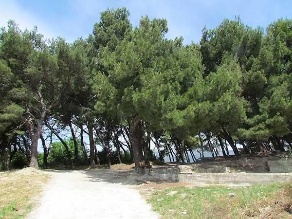 Apartamento Moona Udaljen 10 Min Setnje Od Palace, Rive I Plaze